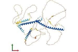 Protein Structure (PS) image for Transcription Factor E3 (TFE3) (AA 1-575) protein (His tag) (ABIN7555780)