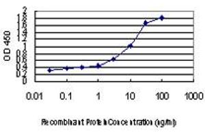Detection limit for recombinant GST tagged IRX3 is approximately 0. (IRX3 Antikörper  (AA 182-285))