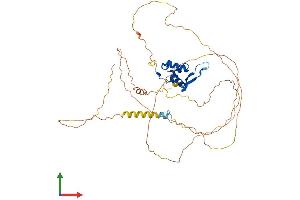 AlphaFold protein structure predicition of Human Recombinant FOXA1 Protein, UniprotID P55317