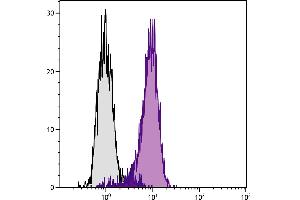 Human histiocytic lymphoma cell line U-937 was stained with Mouse Anti-Human CD71-FITC. (Transferrin Receptor Antikörper)