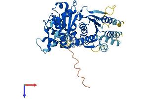 TRIP13 Protein (AA 1-432) (His tag)