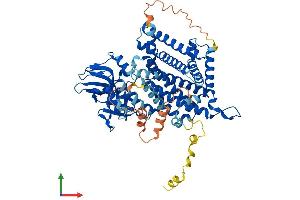 Protein Structure (PS) image for Acyl-CoA Oxidase-Like (ACOXL) (AA 1-632) protein (His tag) (ABIN7561298)