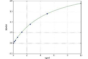 Secreted and Transmembrane 1A (SECTM1A) ELISA Kit