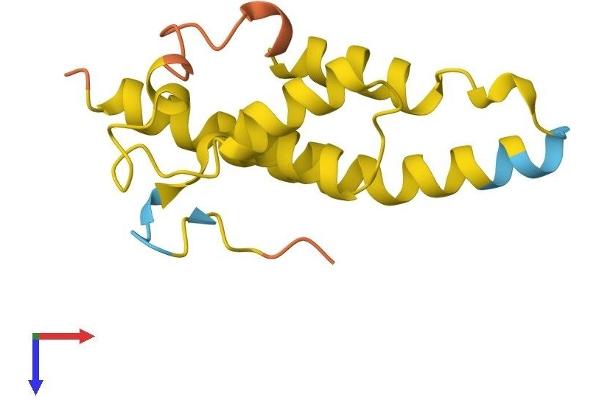 TOR1AIP2 Protein (AA 1-131) (His tag)