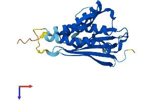 MAD2L2 Protein (AA 1-211) (His tag)