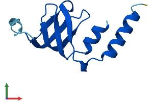 Protein Structure (PS) image for LSM2 Homolog, U6 Small Nuclear RNA Associated (LSM2) (AA 1-95) protein (His tag) (ABIN7562383)