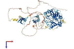 ADARB2 Protein (AA 1-739) (His tag)
