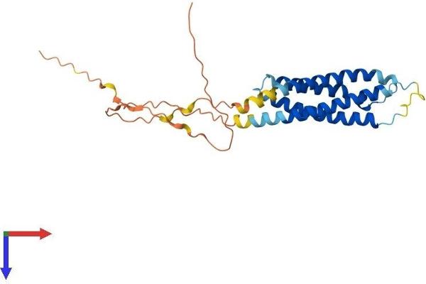 Membrane-Spanning 4-Domains, Subfamily A, Member 8 (MS4A8) (AA 1-250) protein (His tag)