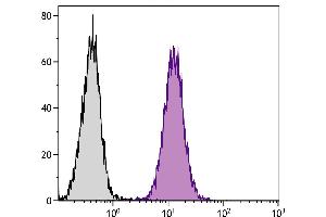 Mouse Mφ cells were intracellularly stained with Rat  Anti-Mouse CD107a-APC. (LAMP1 Antikörper  (FITC))