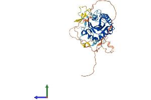 AlphaFold protein structure predicition of Human Recombinant APOBEC4 Protein, UniprotID Q8WW27