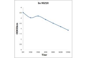 Antigen: 0. (IQCJ Antikörper  (AA 47-67))