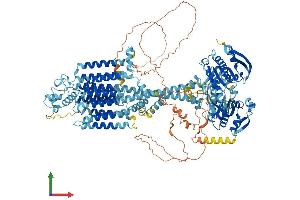 Protein Structure (PS) image for Adenylate Cyclase 5 (ADCY5) (AA 1-1262) protein (His tag) (ABIN7563539)