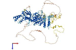 INTS6 Protein (AA 1-887) (His tag)