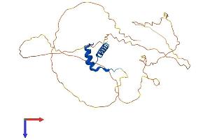 Homeobox D13 Protein (HOXD13) (AA 1-343) (His tag)