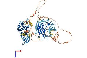 MAP4K1 Protein (AA 1-833) (His tag)