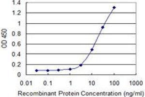 Detection limit for recombinant GST tagged EOMES is 1 ng/ml as a capture antibody. (EOMES Antikörper  (AA 461-569))