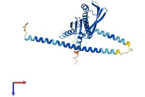 CENPO Protein (AA 1-300) (His tag)