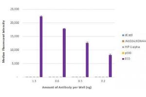 EED antibody (rAb) tested by Luminex bead-based specificity analysis. (Rekombinanter EED Antikörper)