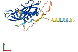 Protein Structure (PS) image for Receptor (Chemosensory) Transporter Protein 3 (RTP3) (AA 1-232) protein (His tag) (ABIN7551605)