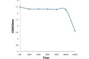ELISA image for anti-MORC Family CW-Type Zinc Finger 2 (MORC2) (pSer739) antibody (ABIN1385133)