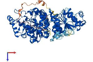 HDAC10 Protein (AA 1-669) (His tag)