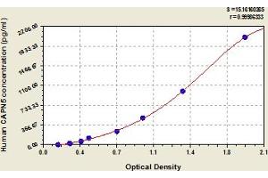 Typical Standard Curve (Calpain 5 ELISA Kit)