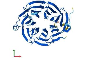 Protein Structure (PS) image for Eukaryotic Translation Initiation Factor 3, Subunit I (EIF3I) (AA 1-325) protein (His tag) (ABIN7547343)