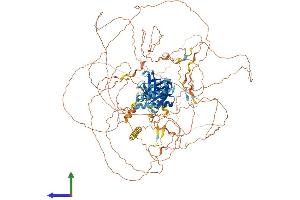 Protein Structure (PS) image for Insulin Receptor Substrate 4 (IRS4) (AA 1-1216) protein (His tag) (ABIN7565263)