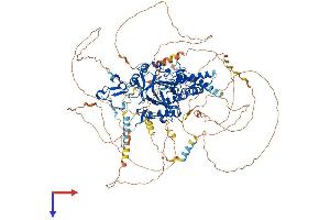 PHF2 Protein (AA 1-1096) (His tag)