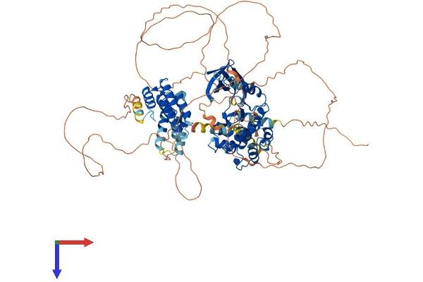 Mps1 Protein (TTK) (AA 1-857) (His tag)