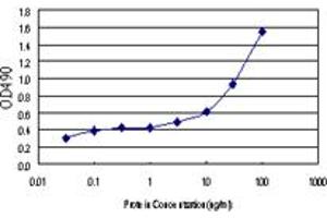 Sandwich ELISA detection sensitivity ranging from 1 ng/mL to 100 ng/mL.