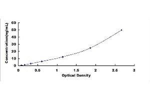 Typical Standard Curve for COL6, Human ELISA.