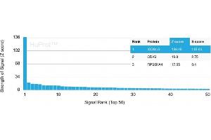 Analysis of Protein Array containing more than 19,000 full-length human proteins using ICOS-L Mouse Monoclonal Antibody (ICOSL/3111). (ICOSLG Antikörper  (AA 23-149))