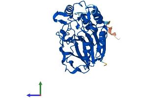 Protein Structure (PS) image for metallophosphoesterase Domain Containing 2 (MPPED2) (AA 1-294) protein (His tag) (ABIN7549556)