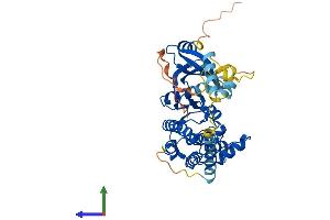 Protein Structure (PS) image for phosphorylase Kinase, gamma 2 (Testis) (PHKG2) (AA 1-406) protein (His tag) (ABIN7550753)