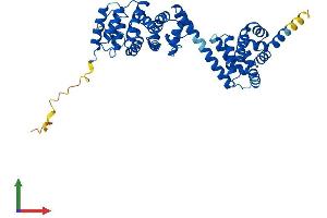 Protein Structure (PS) image for Basic Leucine Zipper and W2 Domains 1 (BZW1) (AA 1-419) protein (His tag) (ABIN7552781)