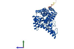 Protein Structure (PS) image for Fatty Acid Desaturase 1 (FADS1) (AA 1-447) protein (His tag) (ABIN7560177)