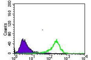 Flow Cytometry (FACS) image for anti-Solute Carrier Family 2 (Facilitated Glucose Transporter), Member 4 (SLC2A4) (AA 224-353) antibody (ABIN1724743)