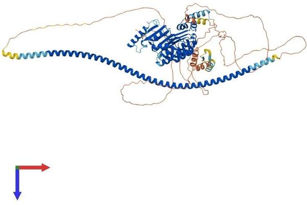 FBXO41 Protein (AA 1-875) (His tag)