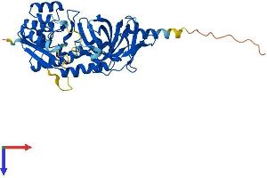 TRMU Protein (AA 1-421) (His tag)