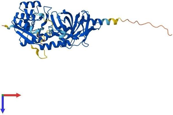 TRMU Protein (AA 1-421) (His tag)