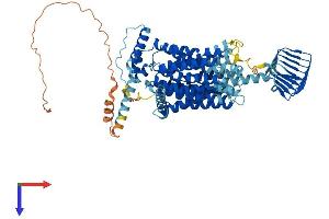 SV2B Protein (AA 1-683) (His tag)