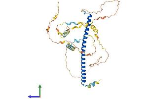 Protein Structure (PS) image for CCAAT/enhancer Binding Protein (C/EBP), alpha (CEBPA) (AA 1-358) protein (His tag) (ABIN7553411)