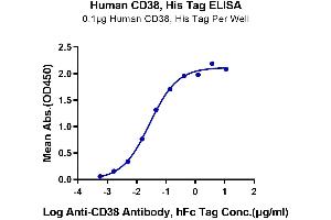 ELISA image for CD38 (AA 43-300) protein (His tag) (ABIN7274142)