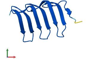 AlphaFold protein structure predicition of Mouse Recombinant Morn2 Protein, UniprotID Q6UL01