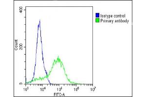Flow Cytometry (FACS) image for anti-Receptor Tyrosine Kinase-Like Orphan Receptor 1 (ROR1) antibody (ABIN392043)