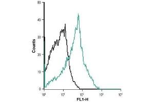 Cell surface detection of NK1 receptor in MEG-O1 living cells: (black line) Unstained cells. (TACR1 Antikörper  (Extracellular) (Atto 488))