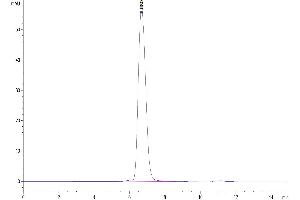 Size-exclusion chromatography-High Pressure Liquid Chromatography (SEC-HPLC) image for HLA Class I Histocompatibility Antigen, alpha Chain G (HLAG) (AA 25-305), (Tetramer) protein (His-Avi Tag,Peptide (RIIPRHLQL)) (ABIN7274813)