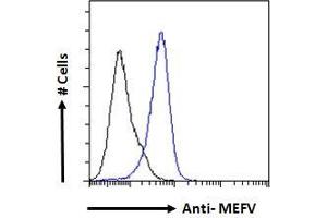 ABIN185451 Flow cytometric analysis of paraformaldehyde fixed A431 cells (blue line), permeabilized with 0. (MEFV Antikörper  (Internal Region))
