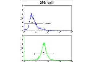 Flow cytometric analysis of 293 cells using ABCC5 Antibody (bottom histogram) compared to a negative control cell (top histogram). (ABCC5 Antikörper  (AA 625-652))